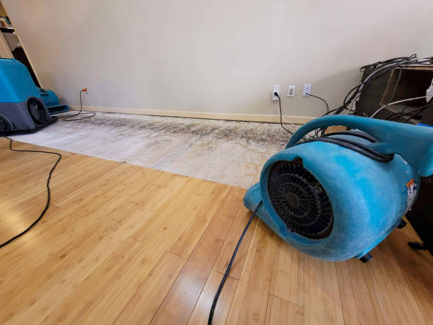 Professional Sewage Cleanup technician working in Bondsville, MA